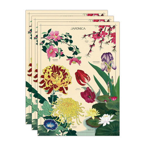 3PK Cavallini Paper Poster Prints/Gift Wrap 50x70cm - Japonica