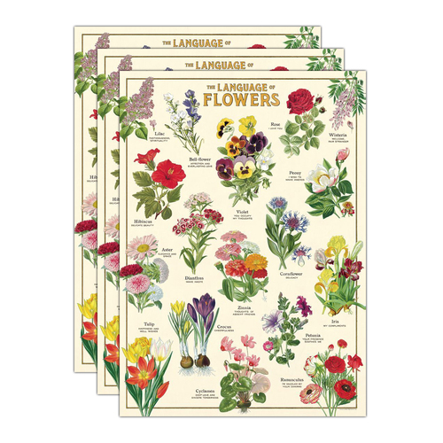 3PK Cavallini Paper Poster Prints/Gift Wrap 50x70cm - Language Flowers