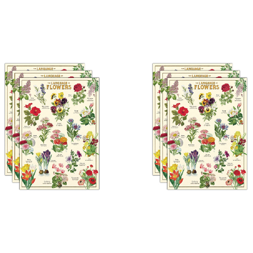 6PK Cavallini Paper Poster Prints/Gift Wrap 50x70cm - Language Flowers