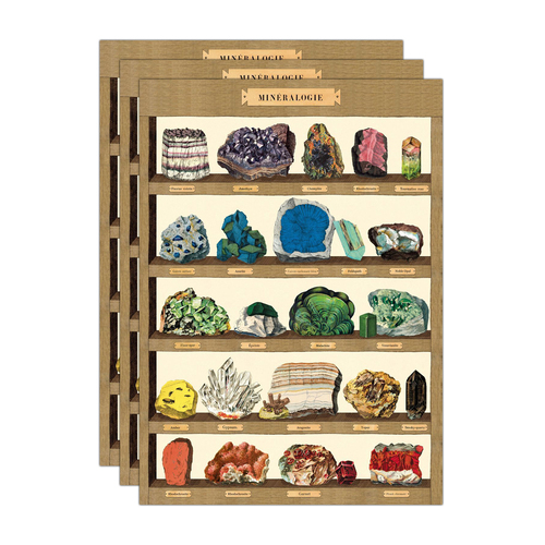 3PK Cavallini Paper Poster Prints/Gift Wrap 50x70cm - Mineralogie 2