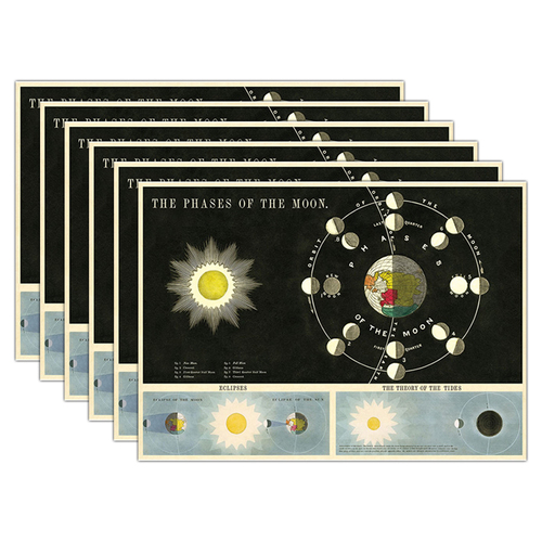 6PK Cavallini Paper Poster Prints/Gift Wrap 70x50cm - Phases Of The Moon