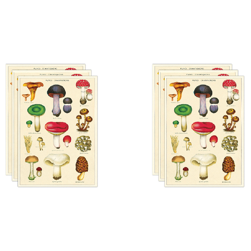 6PK Cavallini Paper Poster Prints/Gift Wrap 50x70cm - Mushrooms 2