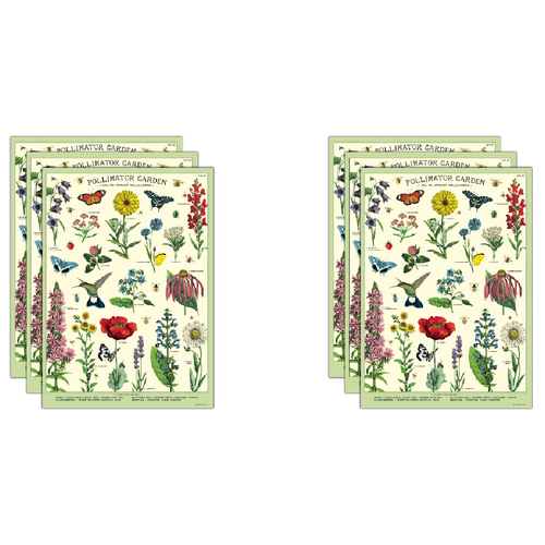 6PK Cavallini Paper Poster Prints/Gift Wrap 50x70cm - Pollinator Garden