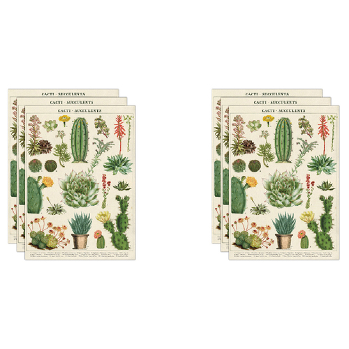 6PK Cavallini Paper Poster Prints/Gift Wrap 50x70cm - Cactus & Succulents