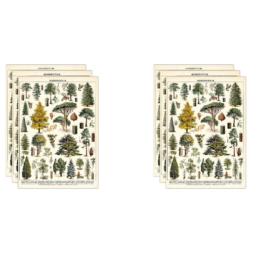 6PK Cavallini Paper Poster Prints/Gift Wrap 50x70cm - Arboretum