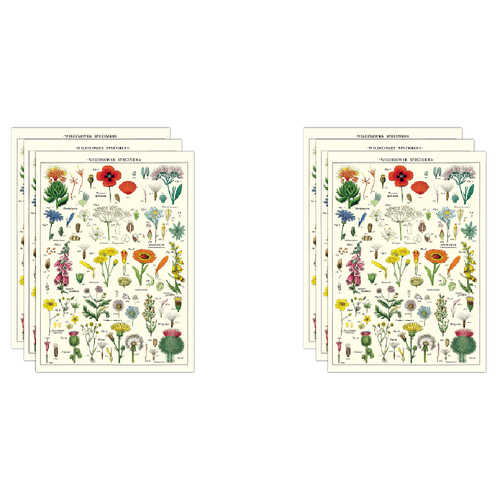 6PK Cavallini Paper Poster Prints/Gift Wrap 50x70cm - Wildflowers