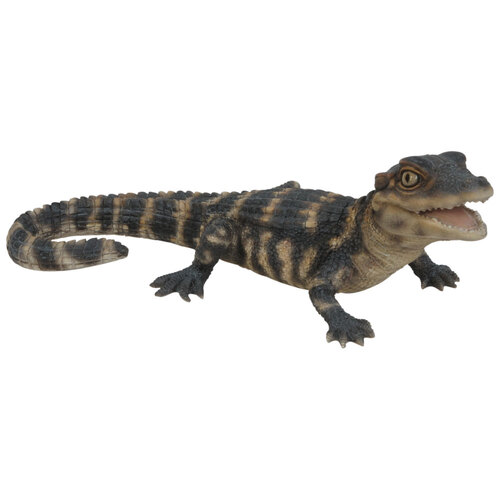 Northcote Pottery Crocodile Baby Resin Statue Garden Decor 26cm