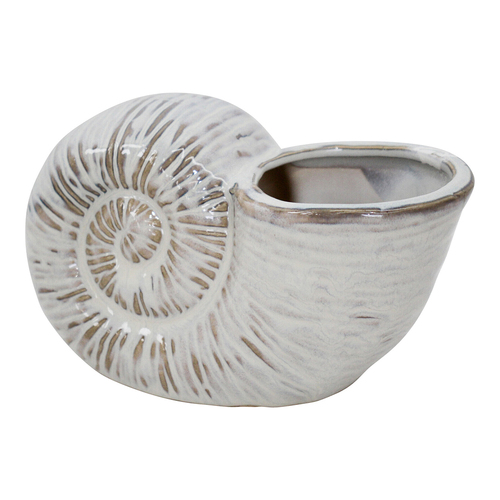 LVD Ceramic 16cm Shell Planter Flower Pot Home Decor - Ivory