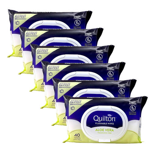 6x 40pc Quilton Flushable Wet Wipes Aloe Vera Fragrance Free 20x15cm