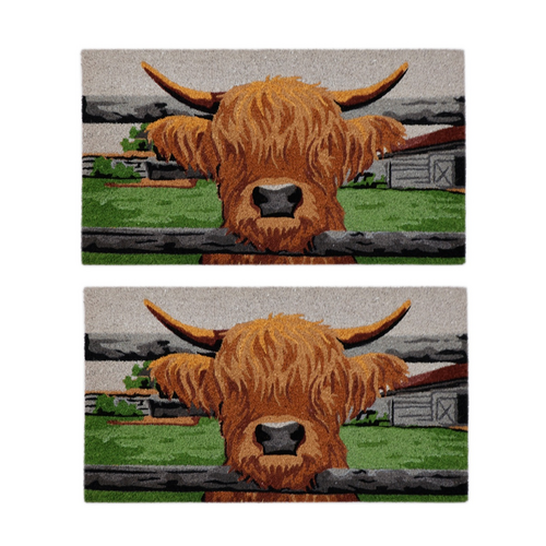 2PK Solemate Highland Cow Coir Back Indoor/Outdoor Floor & Door Mat 45x75cm