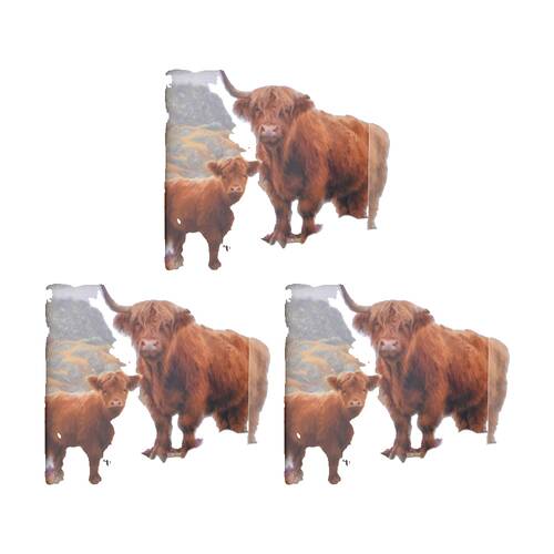 3PK 4pc Macneil Highland Cow Coaster Square Drink Pad Table Protector Set