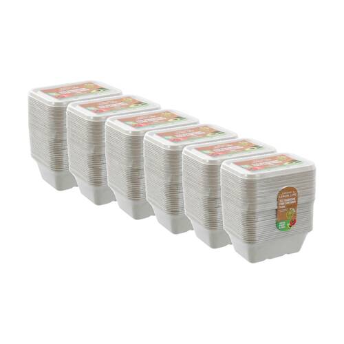 6x 20pc Lemon And Lime Eco Sugarcane Food Container Set 750ml Capacity Assorted