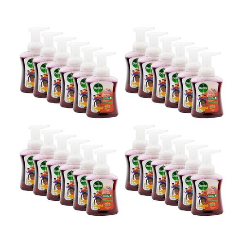 24PK Dettol Handwash Colour Foaming Kids Antibacterial Ready Steady Berry 250mL