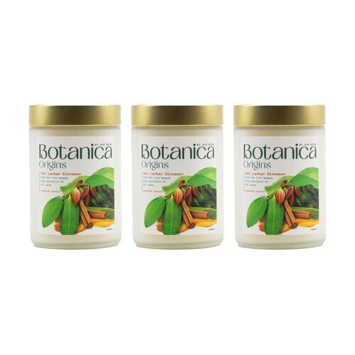 3PK Air Wick Botanica Origins Candle Sri Lankan Cinnamon Scented