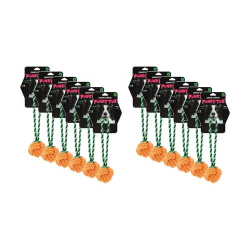 12PK Paws And Claws Fruit Rope Pet Dog Toy Durable Woven Assorted 25x13x6cm
