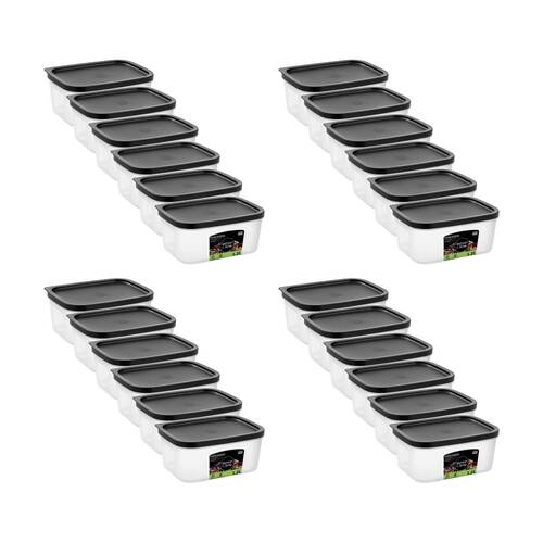 24PK Lemon And Lime Food Keeper Rectangle Reusable Container 1.2L 17.9x13x7cm
