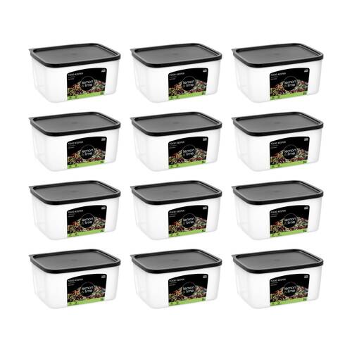 12PK Lemon And Lime Food Keeper Rectangle Reusable Container 3L 21.7x16.7x