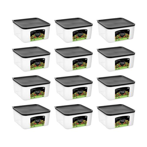 12PK Lemon And Lime Food Keeper Square Reusable Container 4L 21.7x21.7x10.7