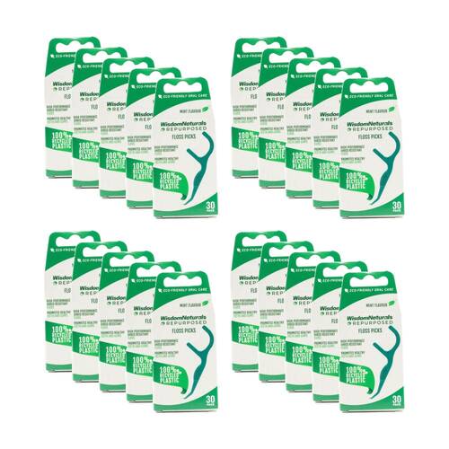 20x 30pc Wisdom Naturals Recycled Plastic Dental Floss Picks Set Green