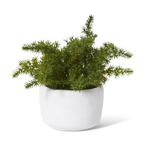 4PK E Style Fern Asparagus Artificial Plant Potted White Pot 18x18x20cm