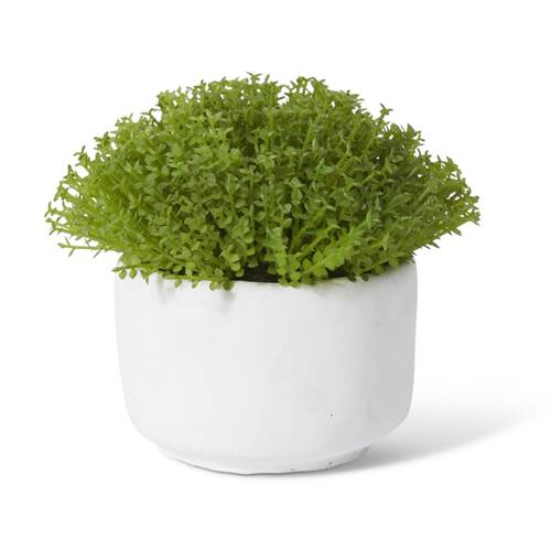 2PK E Style Baby Tears Artificial Plant Potted White Cement Pot 16x16x12cm
