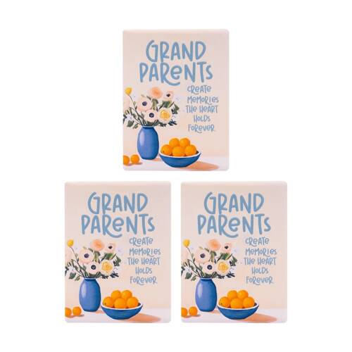 3PK Splosh Billie Grandparents Ceramic Magnet Blue Orange 6x8x0.5cm