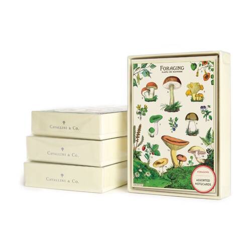8pc Cavallini Boxed Notecards Foraging Nature Folded Cards Set Assorted