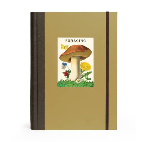 Cavallini Window Journal Hardcover Elastic Closure Lined Page Notebook Forage
