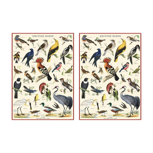 2PK Cavallini Poster Gift Wrap Birds In A Tree Vintage Botanical Design 50x70cm