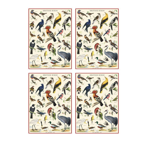 4PK Cavallini Poster Gift Wrap Birds In A Tree Vintage Botanical Design 50x70cm