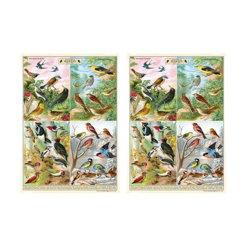 2PK Cavallini Poster Gift Wrap Paper Vintage Art Field Guide to Birds 50x70cm