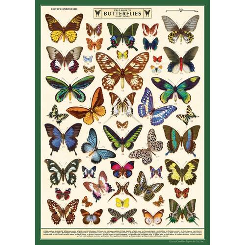 Cavallini Poster Gift Wrap Paper Vintage Art Field Guide to Butterflies