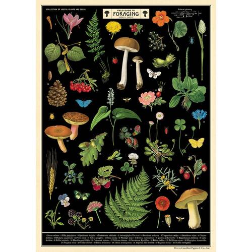 Cavallini Poster Gift Wrap Paper Vintage Art Field Guide to Foraging