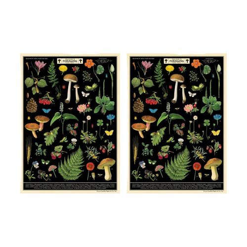 2PK Cavallini Poster Gift Wrap Paper Vintage Art Field Guide to Foraging