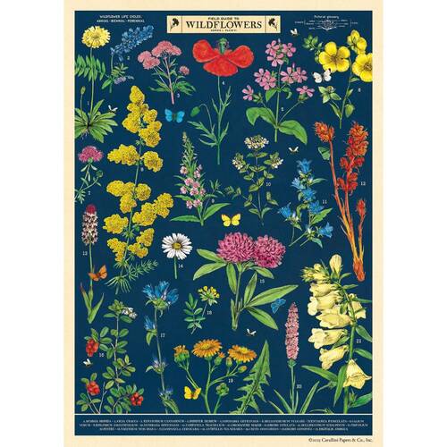 Cavallini Poster Gift Wrap Paper Vintage Art Field Guide to Wildflowers