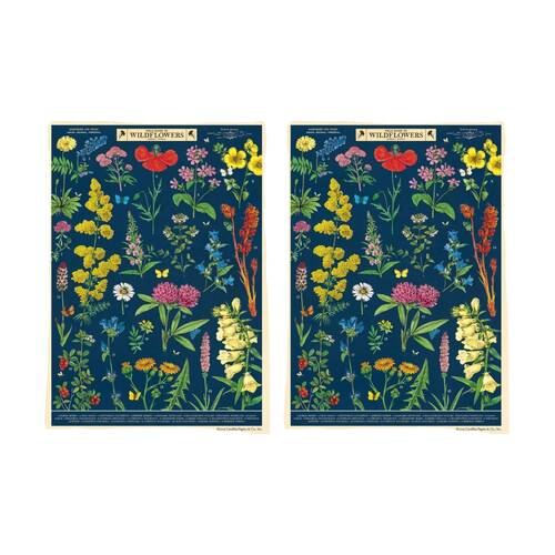 2PK Cavallini Poster Gift Wrap Paper Vintage Art Field Guide to Wildflowers