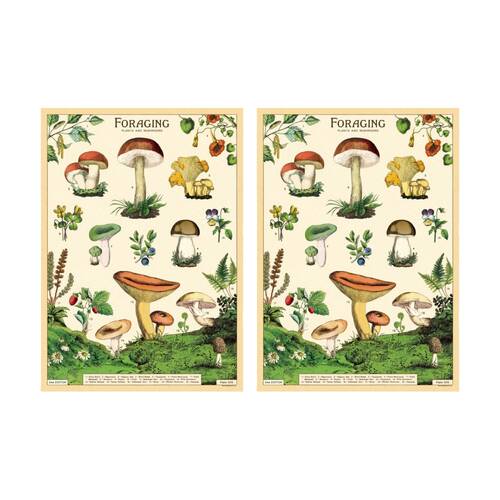 2PK Cavallini Poster Gift Wrap Foraging Vintage Woodland Plants 50x70cm