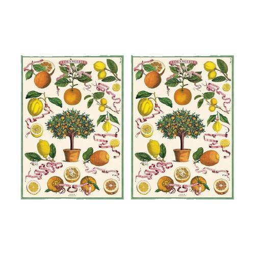2PK Cavallini Poster Gift Wrap L'Orangerie Vintage Botanical Design 50x70cm