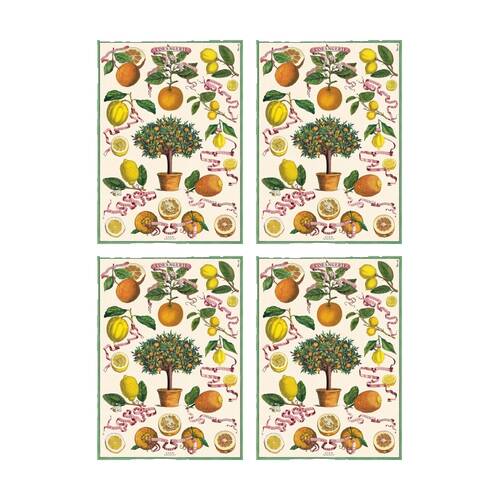 4PK Cavallini Poster Gift Wrap L'Orangerie Vintage Botanical Design 50x70cm