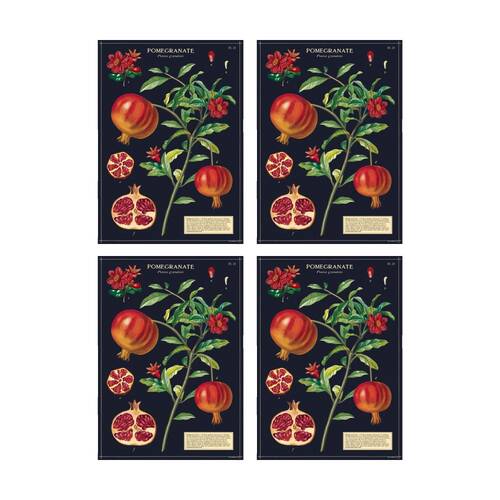 4PK Cavallini Poster Gift Wrap Pomegranate Vintage Botanical Design 50x70cm
