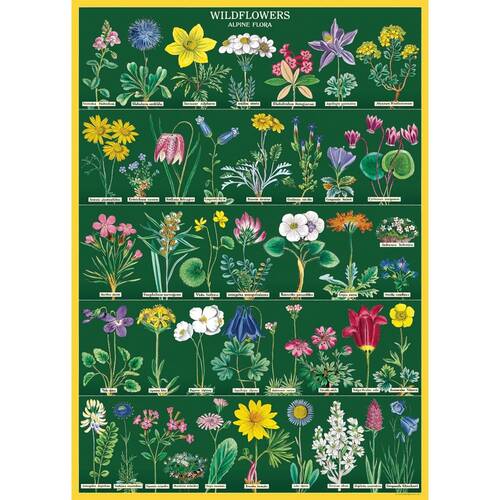 Cavallini Poster Gift Wrap Wildflowers 2 Vintage Archival Paper Art 50x70cm