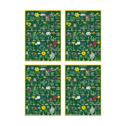 4PK Cavallini Poster Gift Wrap Wildflowers 2 Vintage Archival Paper Art 50x70cm