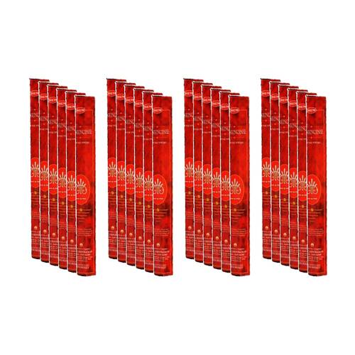 24PK HEM Home Fragrance Scented Smelling Incense Sticks Packet Set Frankincense