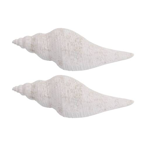 2PK LVD Conch Shell Washed Resin Sea Statue Indoor/Outdoor Decor 27.5x9x8cm