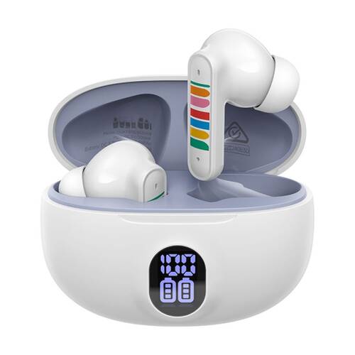Dull Co. Wireless Bluetooth In-Ear Earbuds W/ Digital Display Charging Case Wh