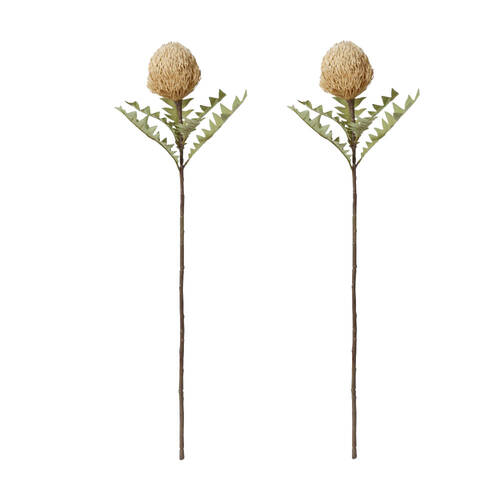 2PK E Style Banksia Baxteri Stem Beige Artificial Floral Flower 20x11x69cm