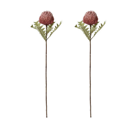 2PK E Style Banksia Baxteri Stem Dusty Pink Artificial Floral Flower 20x11x69cm