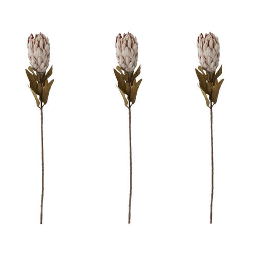 3PK E Style Protea Dried Look Stem Brown Artificial Floral Flower 12x12x61cm