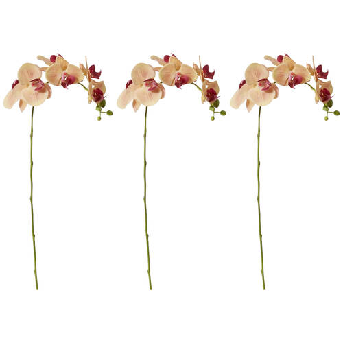 3PK E Style Phalaenopsis Orchid Stem Artificial Flower Apricot 25x10x55cm