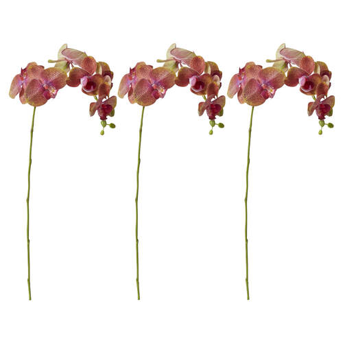 3PK E Style Phalaenopsis Orchid Stem Artificial Flower Green Burgundy 25x10x55cm